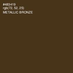 #483419 - Metallic Bronze Color Image